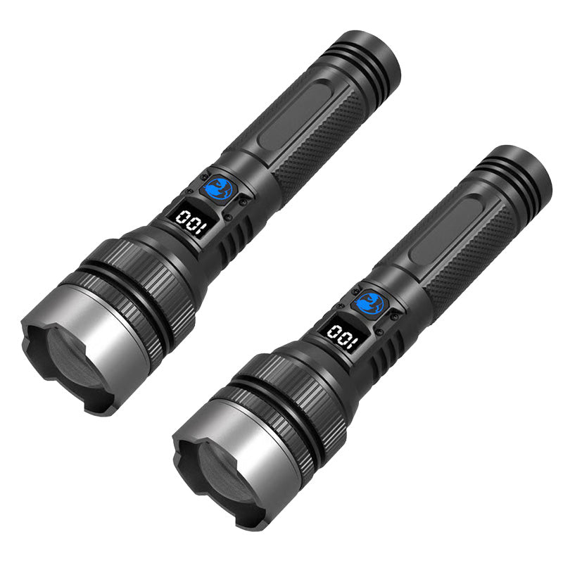 2x Flashlight