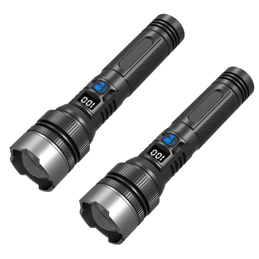 2x Flashlight