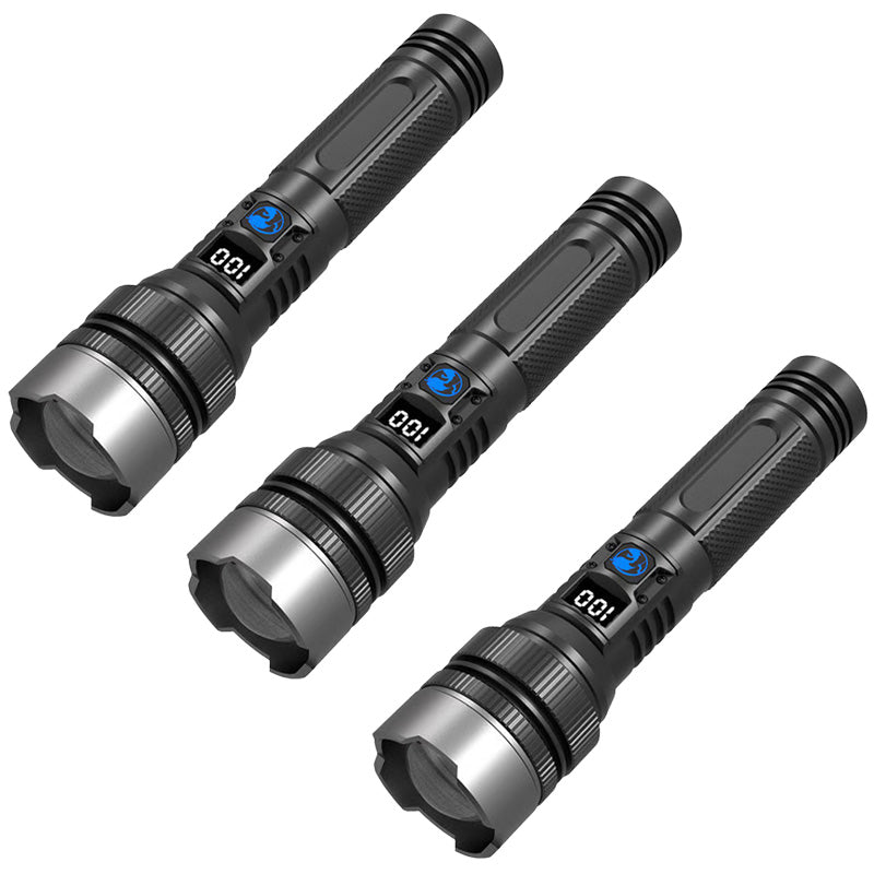 3x Flashlight