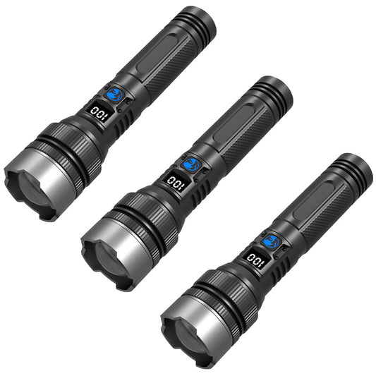 3x Flashlight